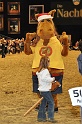 Pferd u Jagd   055